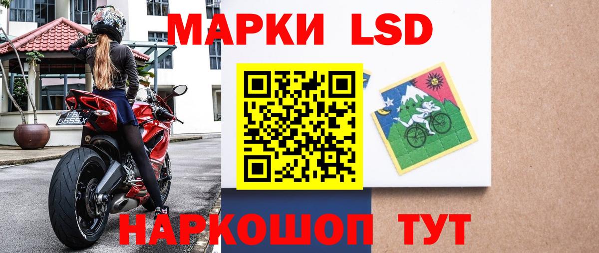 Наркотические марки 1500мкг  Вход с VPN  Элиста 