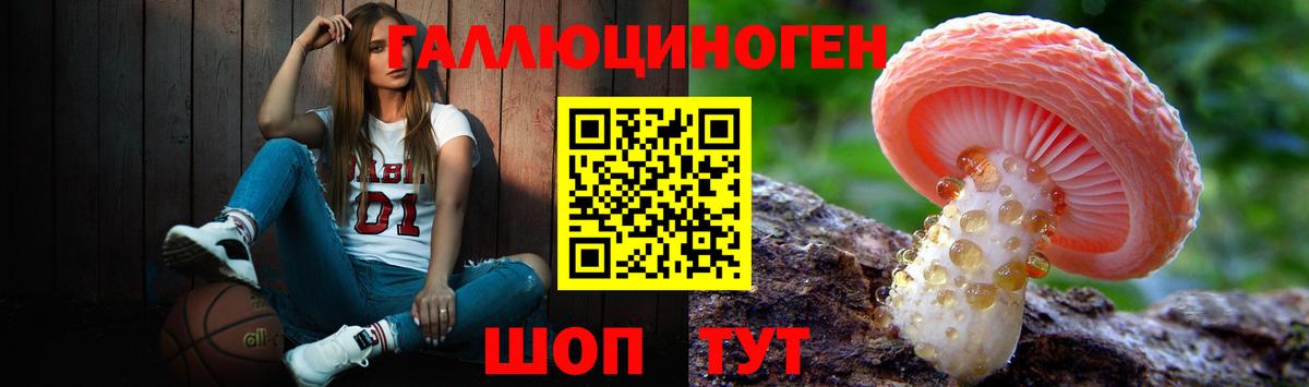 Элиста  Галлюциногенные грибы Psilocybe  Вход с VPN 